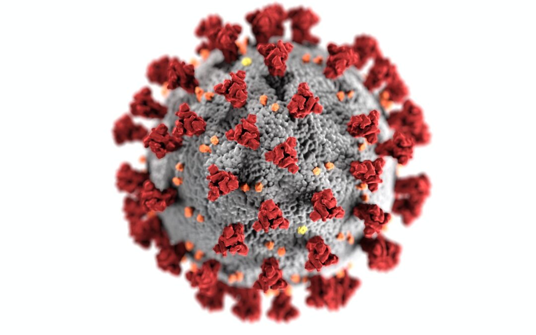 Aktuelles Thema mit Vokabeln: Die Coronavirus-Pandemie