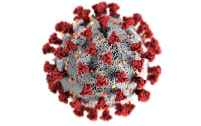 Aktuelles Thema mit Vokabeln: Die Coronavirus-Pandemie